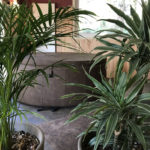 chambre d'hôtes - jacuzzi