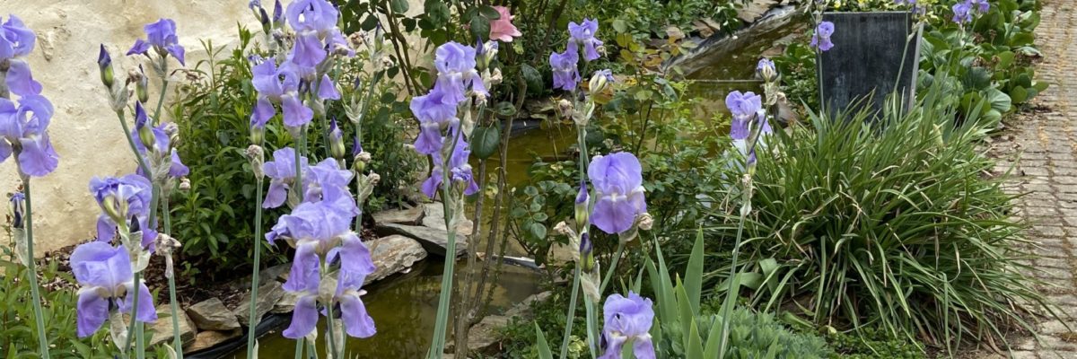 Chambres d'hôtes - Le Mans - Sarthe - Le Domaine de Gueusdées
